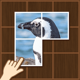 ぴったりフォトグラフ