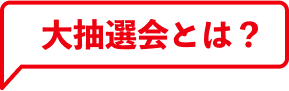 大抽選会とは？