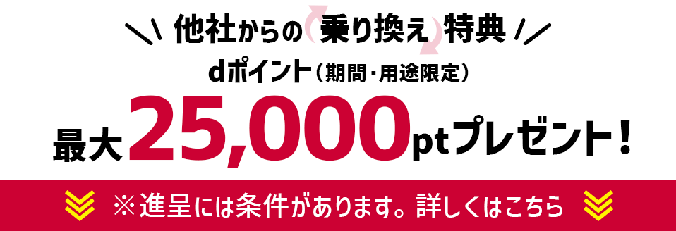 他社からの乗り換えキャンペーン中 dポイント（期間・用途限定）最大11,000ptプレゼント！ ※進呈には条件があります。詳しくはこちら