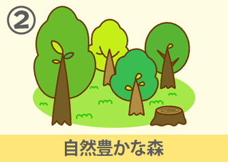 自然豊かな森