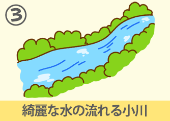 きれいな水の流れる小川