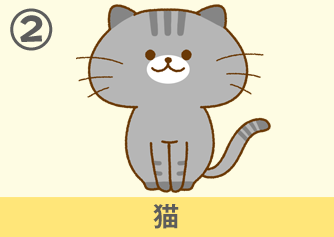 猫
