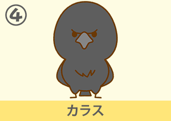 カラス