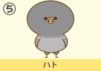 ハト