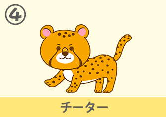 チーター
