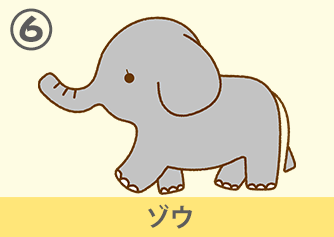 ゾウ