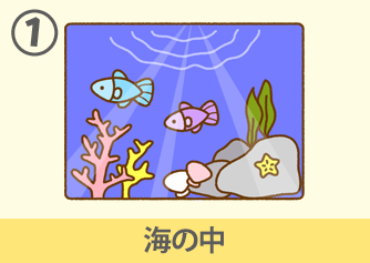 海の中