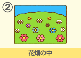 花畑の中