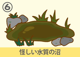 怪しい水質の沼