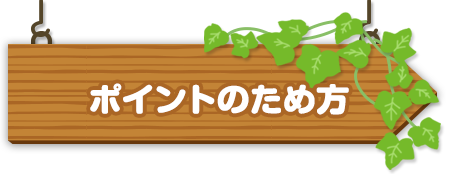ポイントのため方