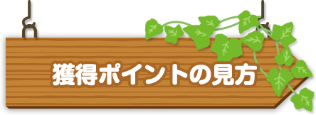 獲得ポイントの見方