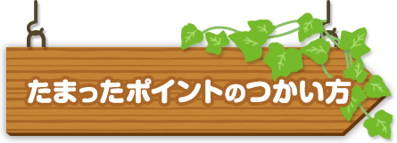 たまったポイントのつかい方